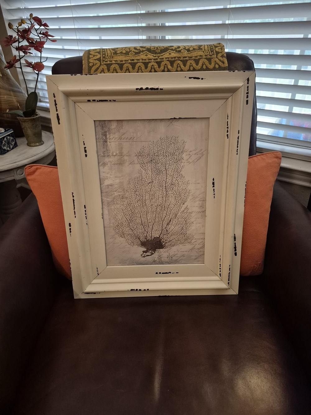 Distressed White Framed Sea Fan Wall Art - Home Accents